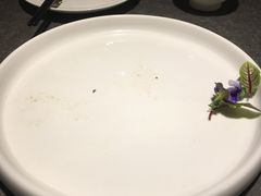 -安多素食(广仁寺路店)
