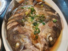 -向民炒鸡老店(金泰华府店)