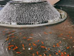 -新世界大丸百货