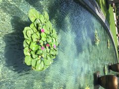 三亚湾海居铂尔曼度假酒店-三亚湾海居铂尔曼度假酒店