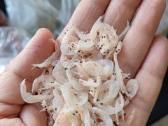 -山海菜馆·海肠捞饭·青岛菜(栈桥店)
