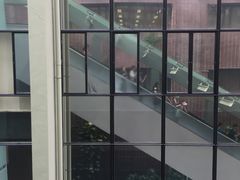 -香港大学