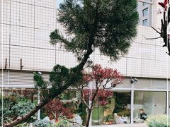-九献创意菜·牛排馆(亮马河花园店)