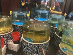 水产区-蓬川食府(金海道店)