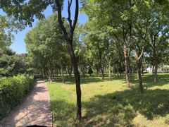 -天元公园