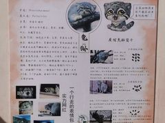 -青藏高原野生动物园