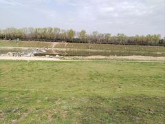 -洨河生态公园