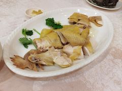 白切鸡-口衣记鸡饭店