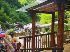 -将军关探险漂流