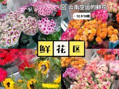 -盒马X会员店(上海森兰商都店)