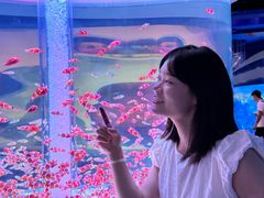 -海合安成都极地海洋公园
