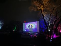-枫花园汽车电影院(朝阳公园店)