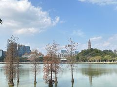 -顺峰山公园