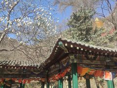 -天津盘山风景名胜区