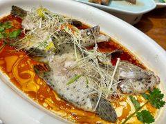 -龙悦湾酒家·八阵鱼生·渔人码头店