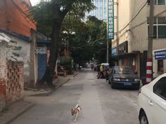 -邓邓胖姐拌面(濉溪路店)