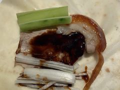 -鸭王烤鸭店(三里河店)