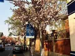 -天津五大道文化旅游区