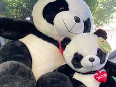 -上海野生动物园