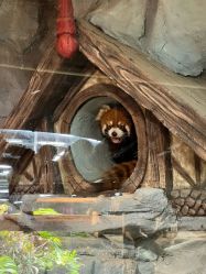-Zoolung Zoolung动物主题公园(海信广场店)
