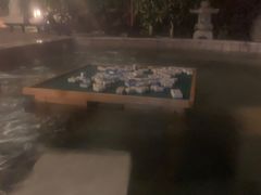 -宁波杭州湾海底温泉