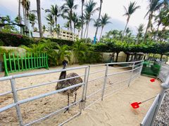 -三亚亚龙湾天域度假酒店