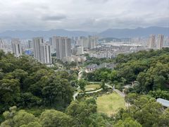-金鸡山公园