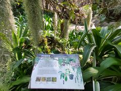 -深圳仙湖植物园