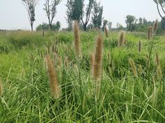 -汉长安城未央宫国家考古遗址公园