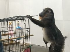 -西安秦岭野生动物园