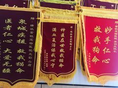 -瑞派雷欧宠物医院·24h夜诊·心脏骨科牙科·全科重症转诊中心(无影山店)