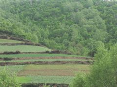 -云顶山风景区