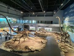 -自贡恐龙博物馆