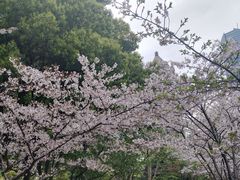 -陆家嘴中心绿地