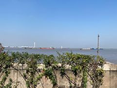 -上海滨江森林公园