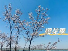 -幕燕滨江·燕子矶公园