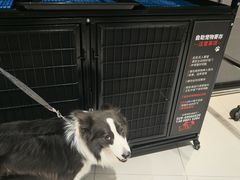 -成都银泰城