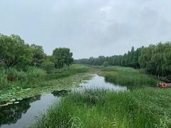 -太湖湖滨国家湿地公园-停车场