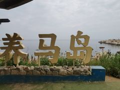 -养马岛旅游度假区