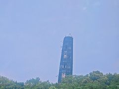 -上海佘山国家森林公园天马山园