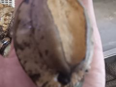 -三个渔夫·蒸汽海鲜(小白楼店)