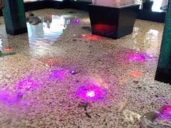 -宝燕海鲜(好爱店)