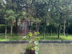 -曲水兰亭(北京四惠店)