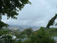 -缙云山景区