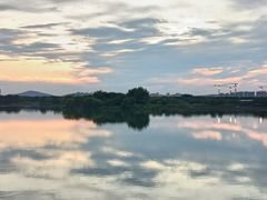 -贡湖湾湿地公园
