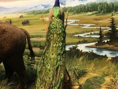 -陕西自然博物馆