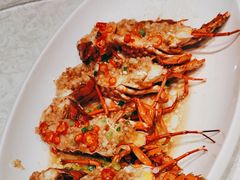 小青龙龙虾-大东海海鲜酒楼(渔人码头总店)