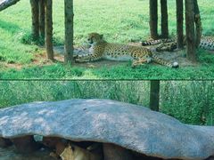 -北京野生动物园