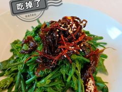 炝油黑皮鸡枞拌麦瓜尖-云腾食府·云南菜