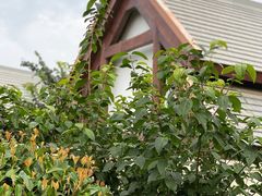 -郑州银基黄帝宫御温泉